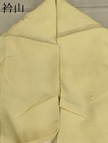 平和屋着物＊夏物 小紋 絽 葵文 金彩 正絹 逸品 AABA5584sx