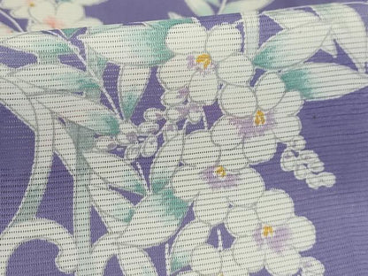 平和屋着物＊夏物 訪問着 絽 草花文 洗える着物 AABA5597sx