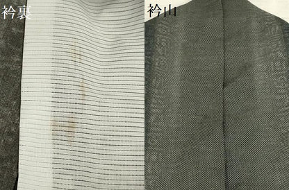 平和屋着物＊夏物 小紋 紗 南天文 洗える着物 AABA5599sx