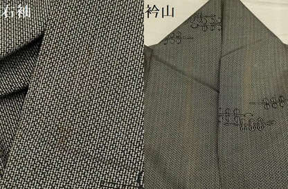 平和屋着物＊夏物　小紋　紗　枝葉文　洗える着物　AABA5603sx