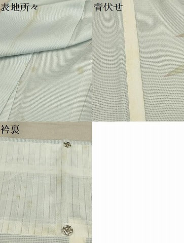 平和屋着物＊夏物 訪問着 絽 南天文 洗える着物 AABA5621sx