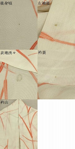 平和屋着物＊夏物 小紋 絽 葉づくし 洗える着物 AABA5667sx