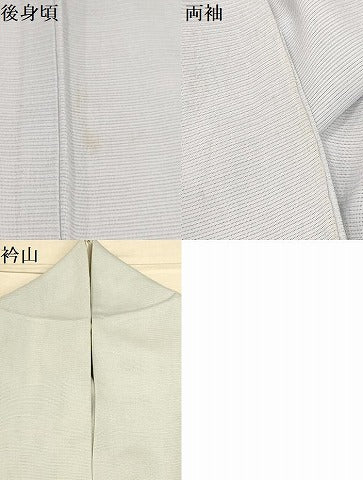 平和屋着物＊夏物 訪問着 絽 枝花文 正絹 逸品 AABA5683sx