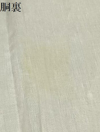 平和屋着物＊夏物 小紋 絽 流水文 ロング丈 洗える着物 AABA5698sx