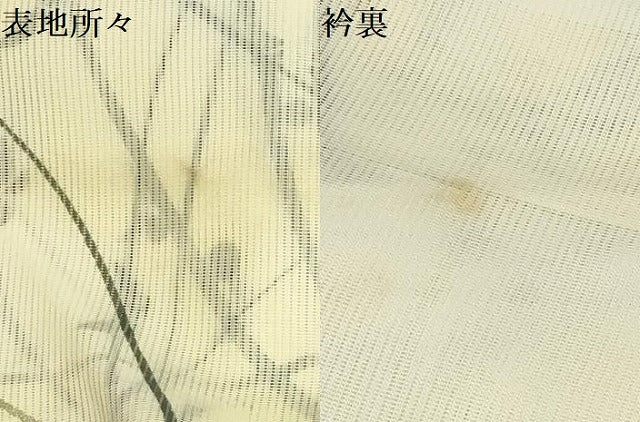 平和屋着物＊夏物 小紋 絽 舞蝶文 暈し染め 正絹 逸品 AABA5704sx