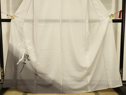平和屋着物＊夏物 訪問着 絽 文字文 洗える着物 AABA5724sx
