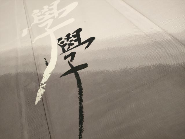 平和屋着物＊夏物 訪問着 絽 文字文 洗える着物 AABA5724sx