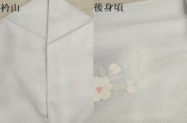 平和屋着物＊夏物 訪問着 絽 枝花文 暈し染め 洗える着物 AABA5729sx