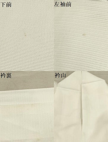 平和屋着物＊夏物 訪問着 絽 流水枝葉文 銀彩 洗える着物 AABA5744sx