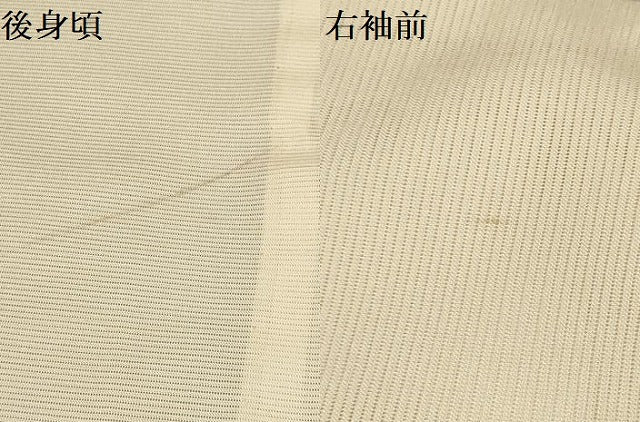 平和屋着物＊夏物 訪問着 絽 草花文 銀彩 正絹 逸品 AABA5750sx