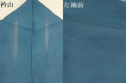 平和屋着物＊夏物 訪問着 絽 草花文 正絹 逸品 AABA5761sx