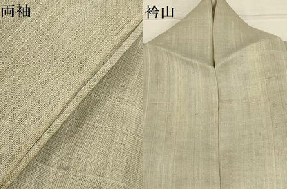 平和屋着物＊夏物 訪問着 生紬 草花文 銀彩 正絹 逸品 AABA5779sx