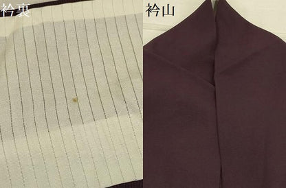 平和屋着物＊夏物 訪問着 絽 草花文 正絹 逸品 AABA5785sx