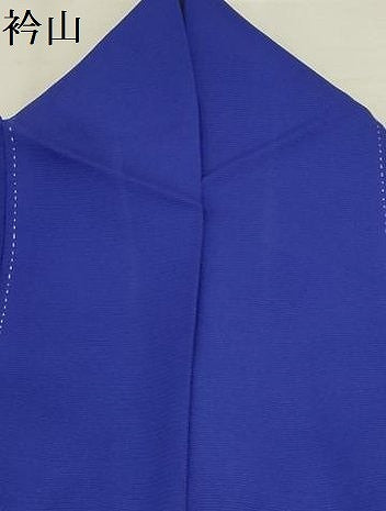平和屋着物＊夏物 訪問着 絽 紫陽花 正絹 逸品 AABA5789sx