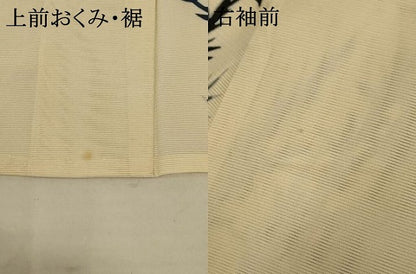 平和屋着物＊夏物 訪問着 絽 枝葉文 銀彩 正絹 逸品 AABA6501jd