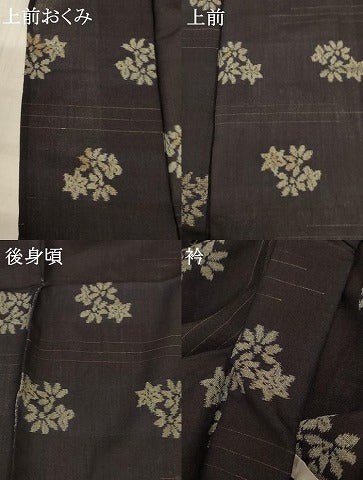 平和屋着物＊夏物 アンティーク 大正ロマン 紗紬 草花文 正絹 逸品 AABA6513jd