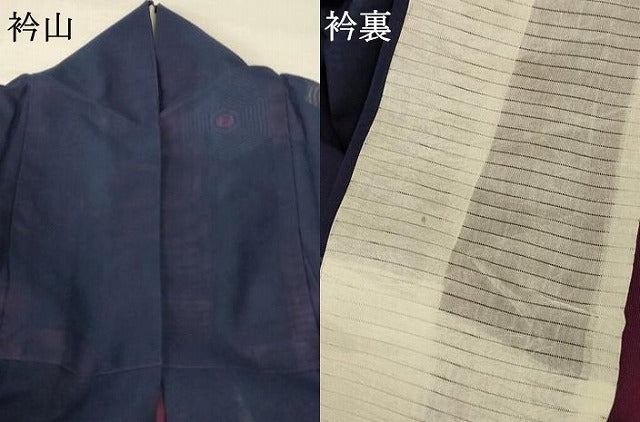 平和屋着物＊夏物 小紋 紗 亀甲文 正絹 逸品 AABA6518jd