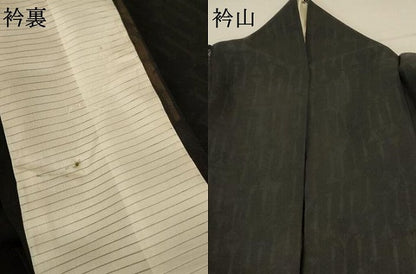 平和屋着物＊夏物 色無地 紗 蝋色 正絹 逸品 AABA6522jd