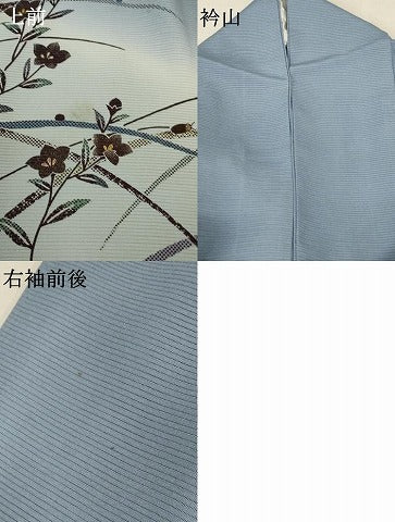 平和屋着物＊夏物 訪問着 絽 草花文 蛍 暈し染め 金彩 正絹 逸品 AABA6563jd