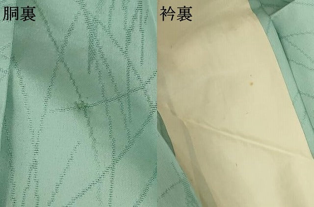 平和屋着物＊夏物 色無地 芝紋紗 薄萌葱色 正絹 逸品 AABA6599jd