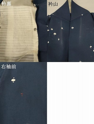 平和屋着物＊夏物 小紋 絽 抽象文様 正絹 逸品 AABA6604jd