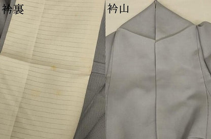 平和屋着物＊夏物 無地絵羽訪問着 絽 笹文紗 薄墨色 正絹 逸品 AABA6612jd