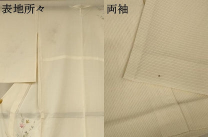 平和屋着物＊夏物 訪問着 絽 枝葉文 正絹 逸品 AABA6614jd