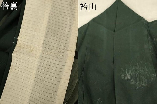 平和屋着物＊夏物 小紋 紗 草花文 銀糸 正絹 逸品 AABA6615jd