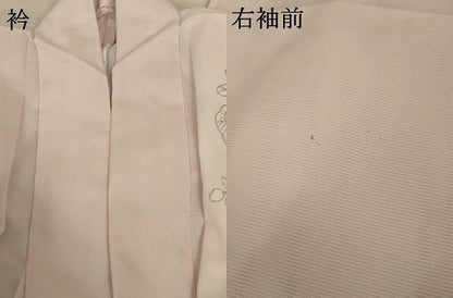 平和屋着物＊夏物 訪問着 絽 辻が花 洗える着物 AABA6635jd