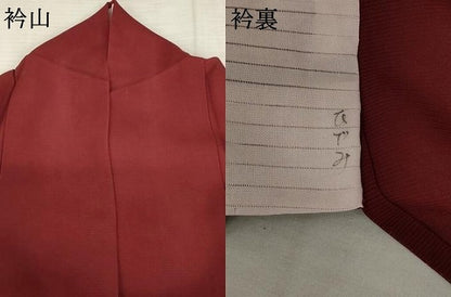 平和屋着物＊夏物 訪問着 絽 流水草花文 正絹 逸品 AABA6824st