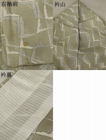 平和屋着物＊夏物 小紋 絽 裏菊 正絹 逸品 AABA6829st