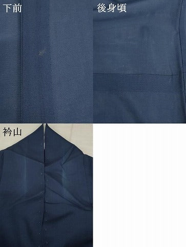 平和屋着物＊夏物　訪問着　絽　花蝶文　金彩　正絹　逸品　AABA6838st