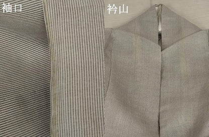 平和屋着物＊夏物 小紋 紗 縞 正絹 逸品 AABA6841st
