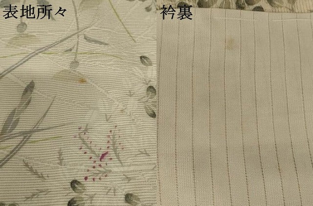 平和屋着物＊夏物 小紋 絽 草花文 銀彩 正絹 逸品 AABA6843st