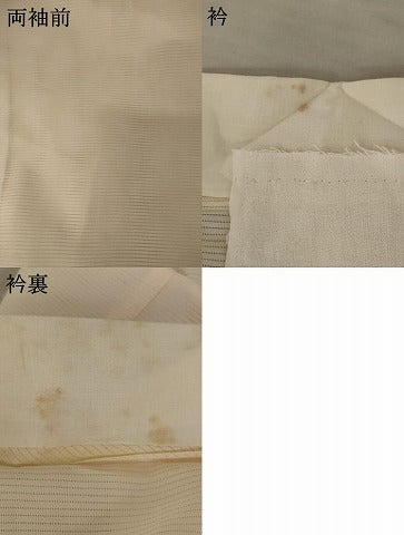平和屋着物＊夏物 長襦袢 絽 枝葉文 正絹 逸品 AABA6876st