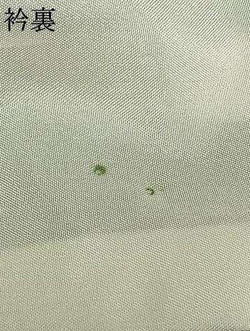 平和屋着物▽上質な紬 単衣 草花間道 ロング丈 正絹 逸品 AABA7456fy