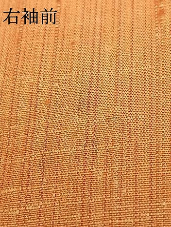 平和屋着物▽上質な紬 単衣 花織 間道 正絹 逸品 AABA7461fy