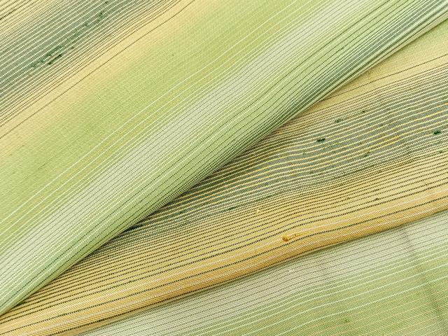 平和屋着物▽上質な紬 単衣 横段文 正絹 逸品 AABA7483fy