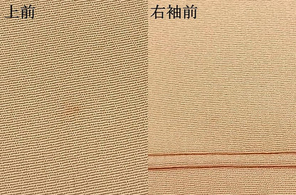 平和屋着物▽訪問着 単衣 枝花文 暈し染め 金彩 正絹 逸品 AABA7512fy