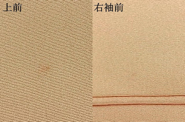 平和屋着物▽訪問着 単衣 枝花文 暈し染め 金彩 正絹 逸品 AABA7512fy
