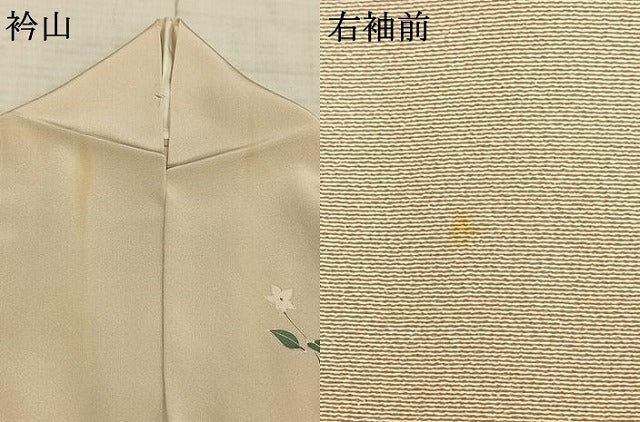 平和屋着物▽訪問着 単衣 友禅 作家物 花鳥文 正絹 逸品 AABA7561fy