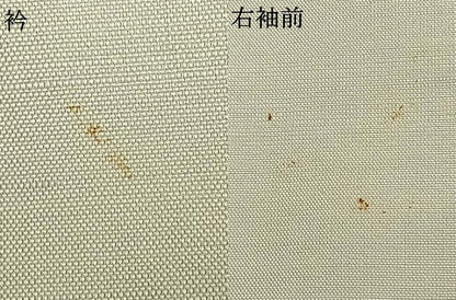 平和屋着物▽訪問着 単衣 紬地 作家物 草花文 正絹 逸品 AABA7684fy
