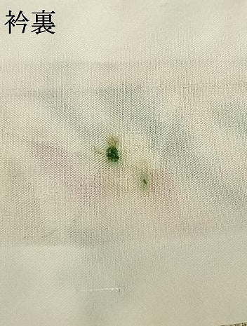 平和屋着物▽上質な紬 単衣 草花文 正絹 逸品 未使用 AABA7720fy