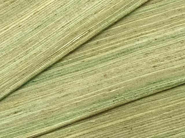 平和屋着物▽上質な紬 単衣 横縞 正絹 逸品 AABA7777fy