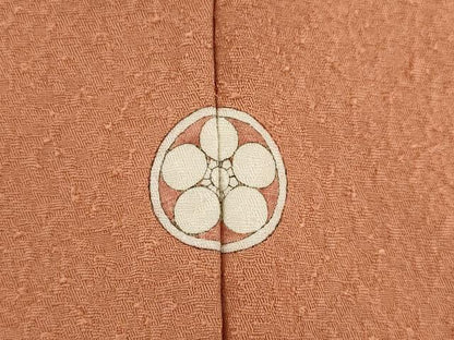 平和屋着物●本草木染作家 瑞鳳 色無地 洗朱色 正絹 逸品 AABA7947ck