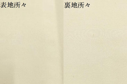 平和屋着物▼中国三大刺繍 汕頭刺繍 スワトウ刺繍 袋帯 壁画文様 正絹 逸品 AABA8600wj