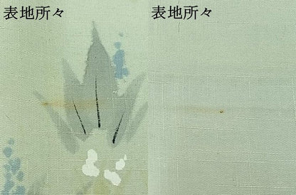 平和屋着物▽訪問着　単衣　紬地　手描き　草花文　正絹　逸品　AABA9129jh