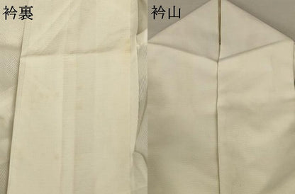 平和屋着物＊夏物 訪問着 絽 舞鶴文 洗える着物 AABA9287jd