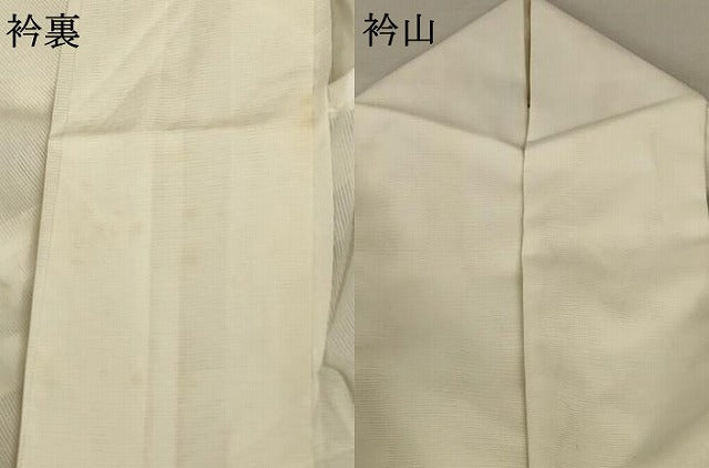 平和屋着物＊夏物 訪問着 絽 舞鶴文 洗える着物 AABA9287jd