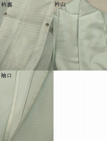 平和屋着物＊夏物 訪問着 絽 風景文 暈し染め 金彩 洗える着物 AABA9290jd